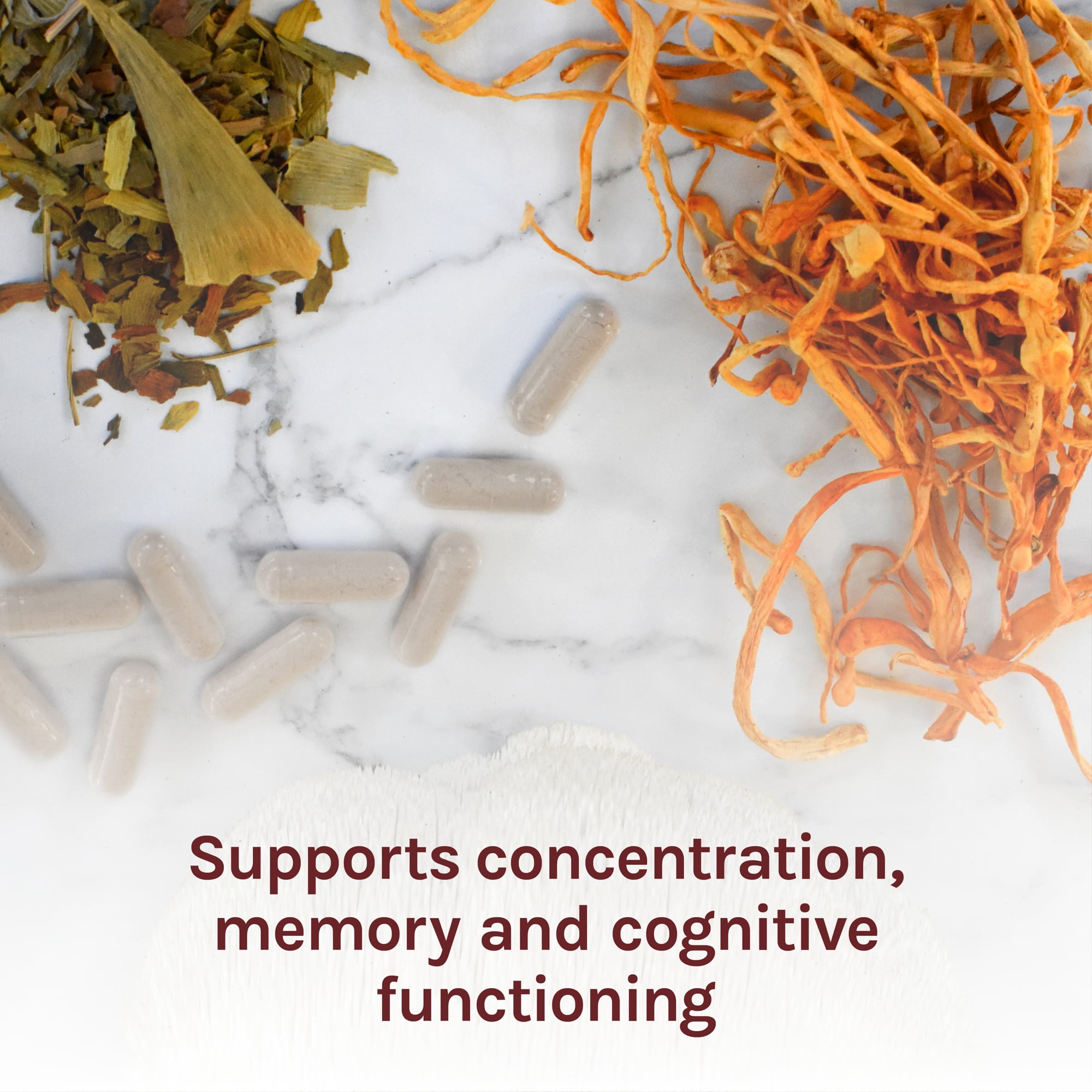 Host Defense Brain Capsules for Focus and Memory