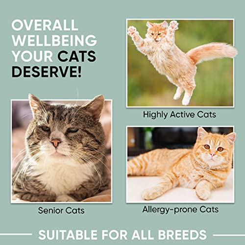 Animigo L-Lysine Powder for Cats - 250g