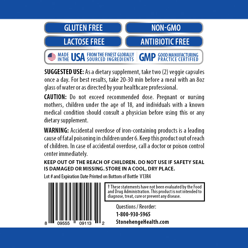 Dynamic Brain Supplement for Memory and Focus