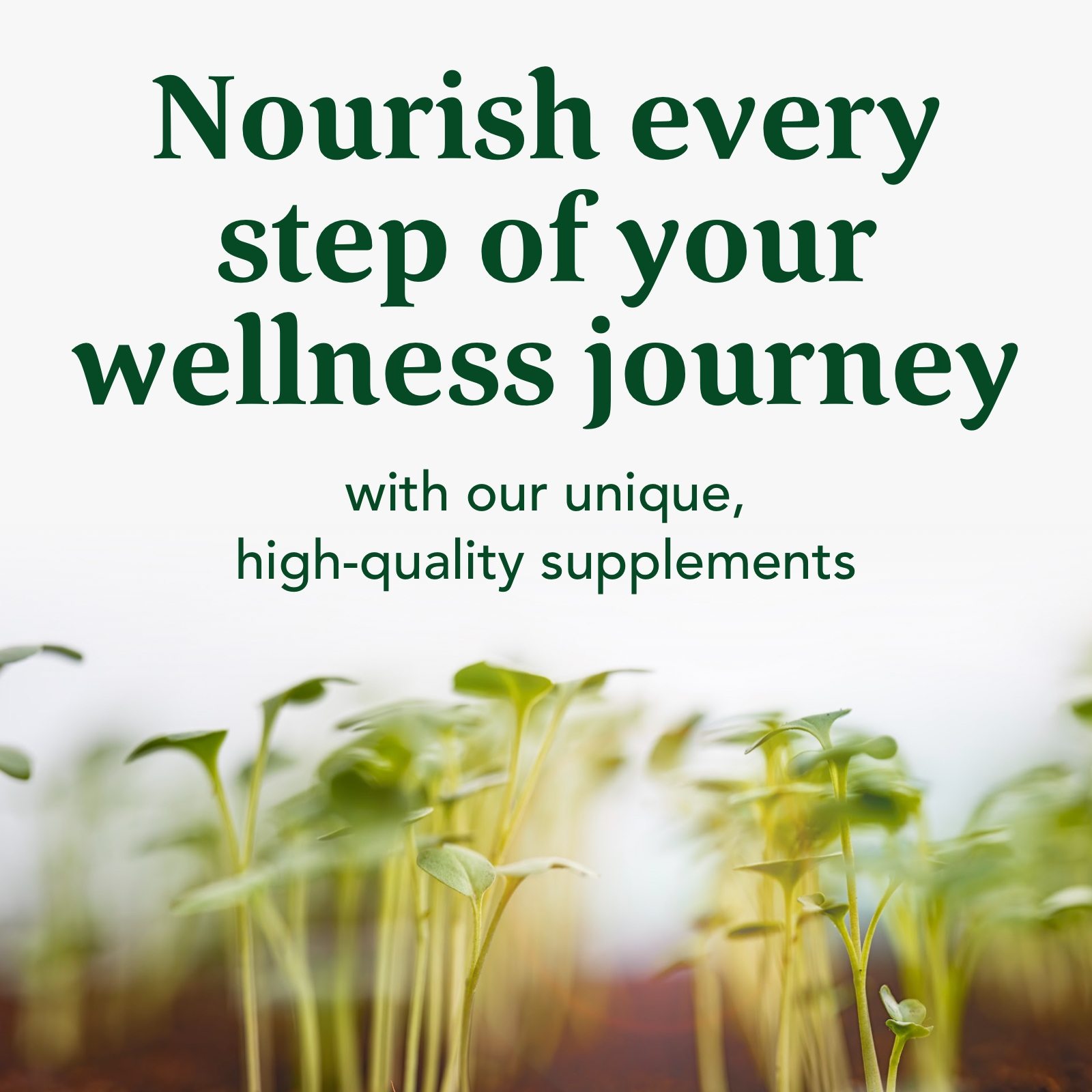 MegaFood Immune Defense - Vegan Wellness Tablets