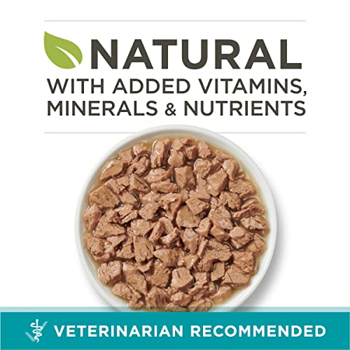 Purina ONE Ideal Weight Chicken Recipe Cat Food
