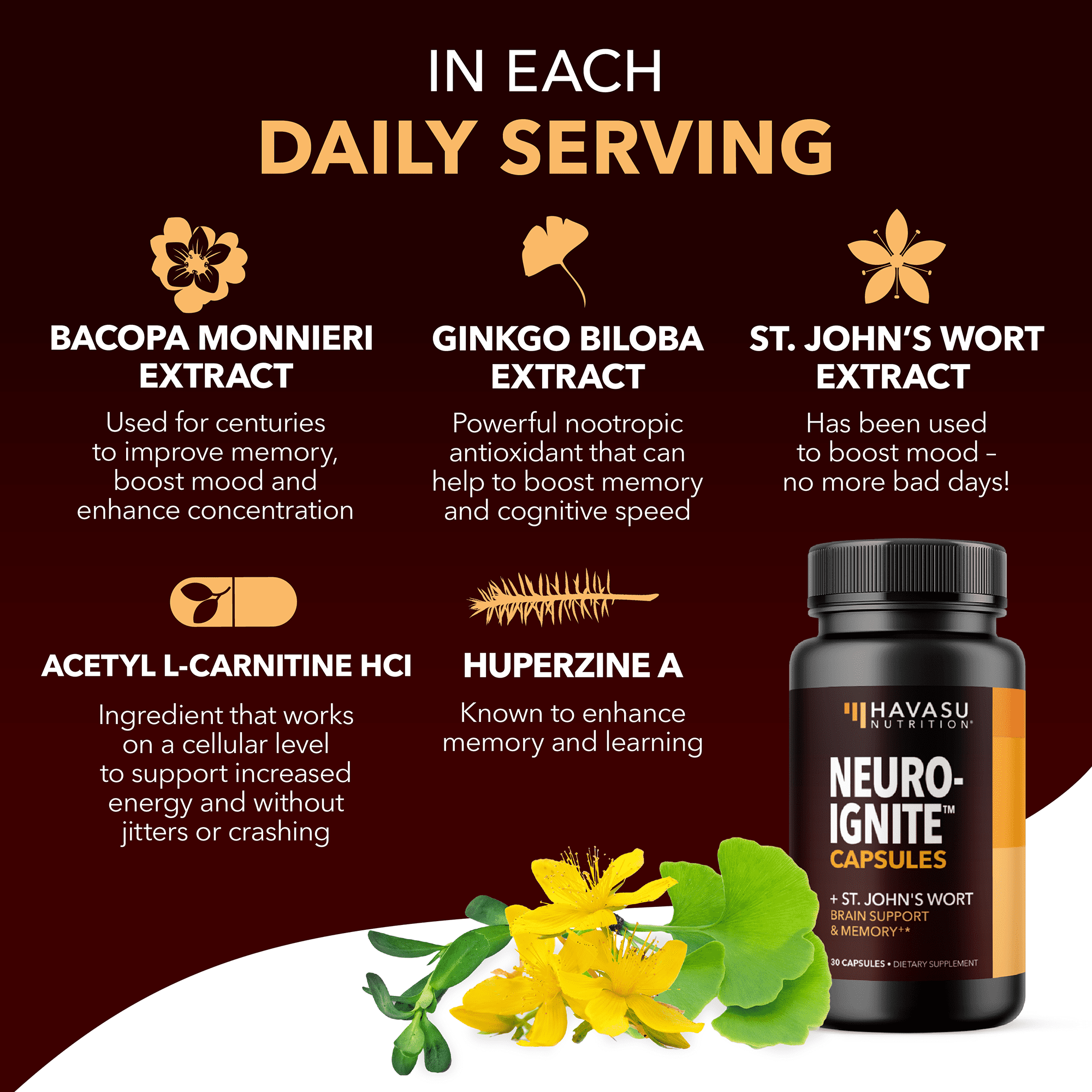 Havasu Memory and Focus Brain Supplement, 60ct