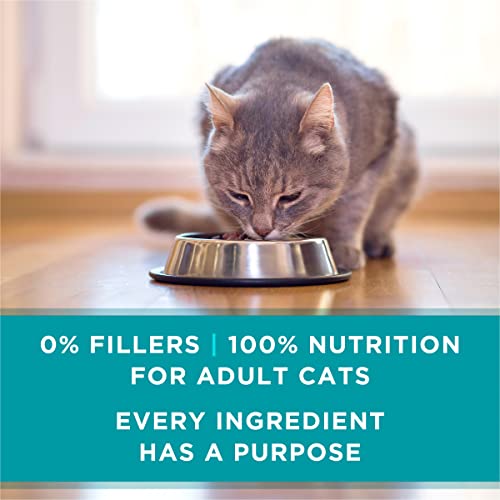 Purina ONE Ideal Weight Chicken Recipe Cat Food