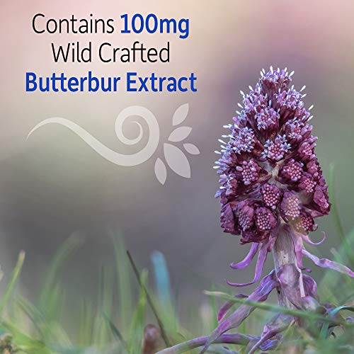 Garden of Life Sinus Support with Herbs and Vitamins