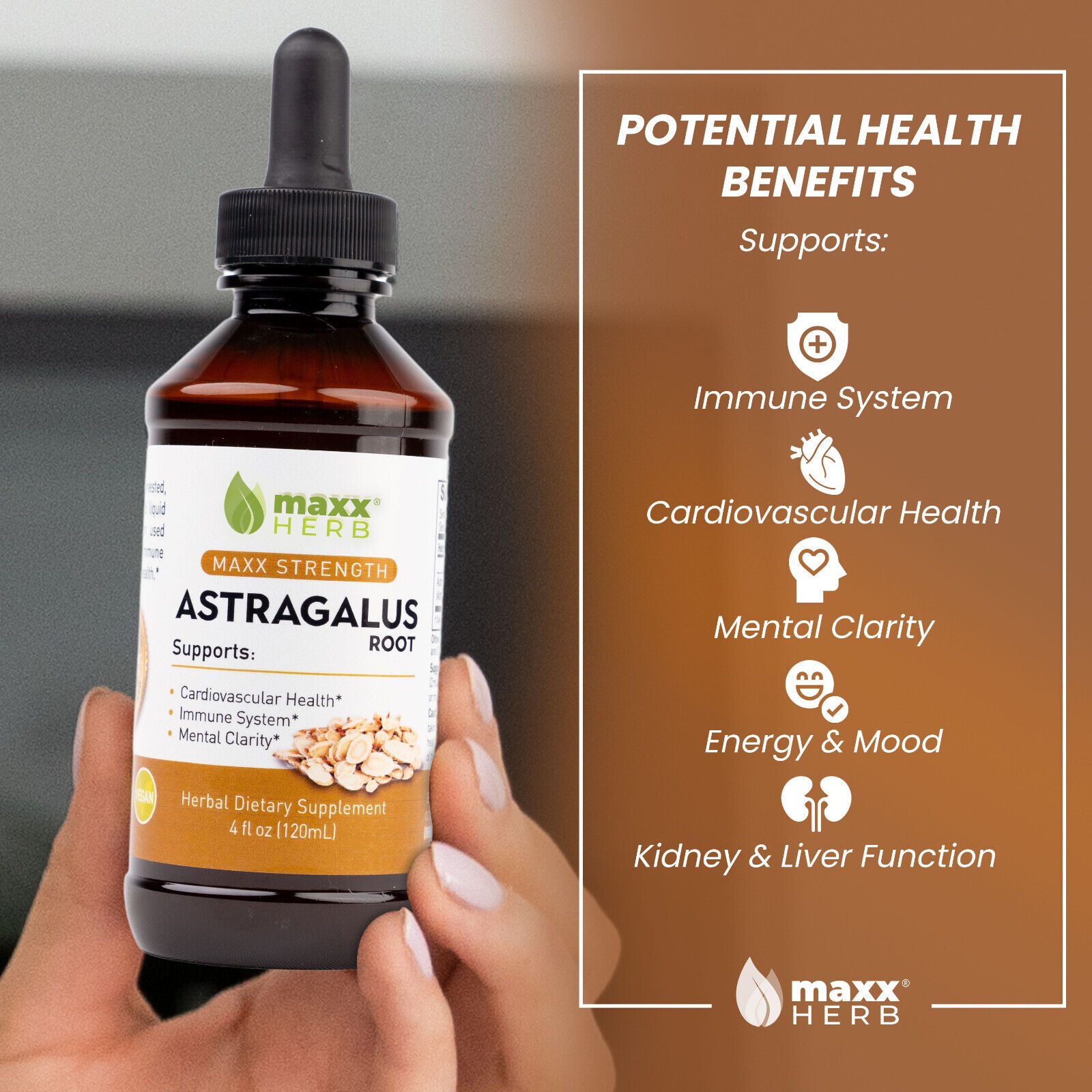 Astragalus Root Liquid Extract for Immunity & Heart Health