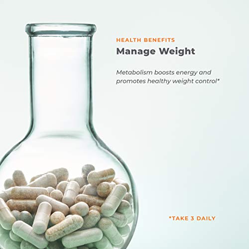 Life Seasons Metabolism Support Supplement - 70 Capsules
