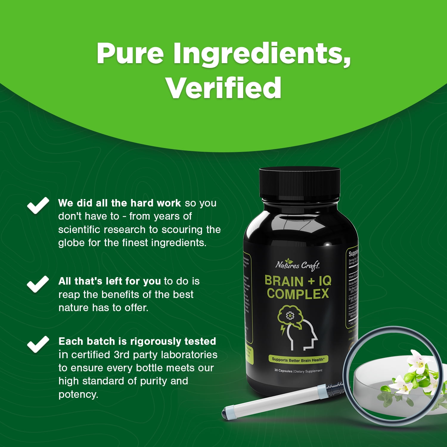 Brain Boost Nootropic Supplement with Ginkgo Biloba
