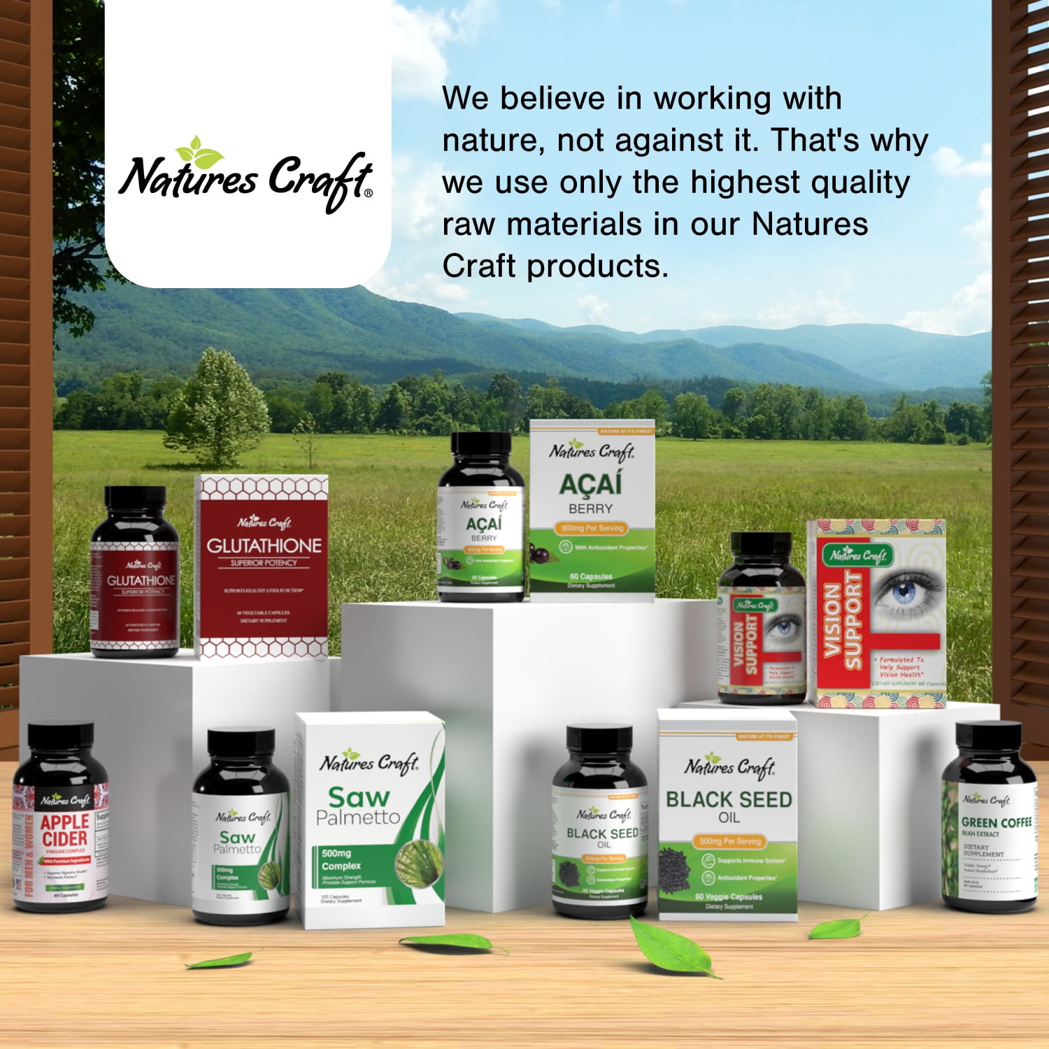 Brain Boost Nootropic Supplement with Ginkgo Biloba