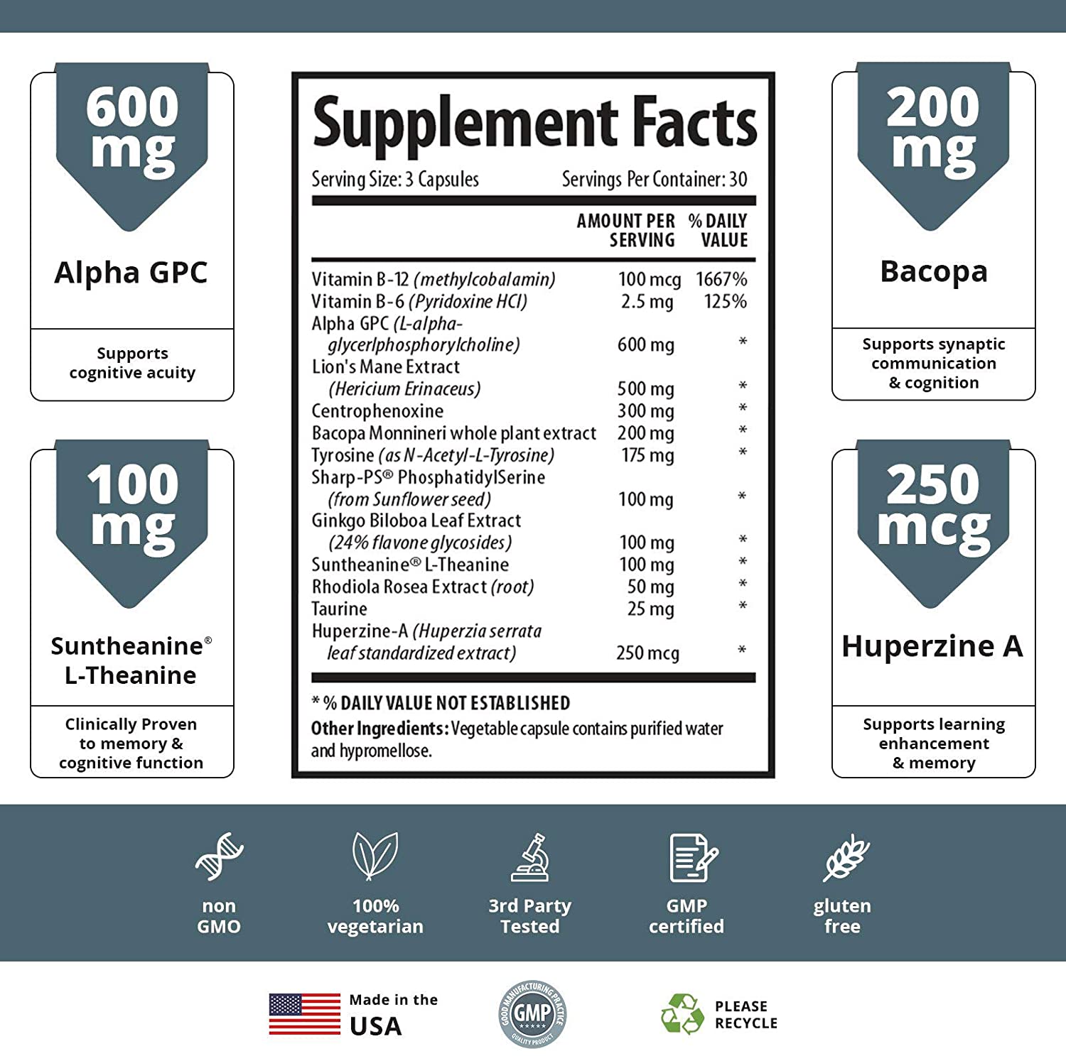 Brain Support Nootropic Blend for Focus & Memory