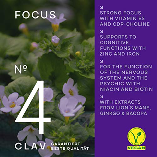 Focus Boost - Nootropic Brain Supplement - 60 Capsules