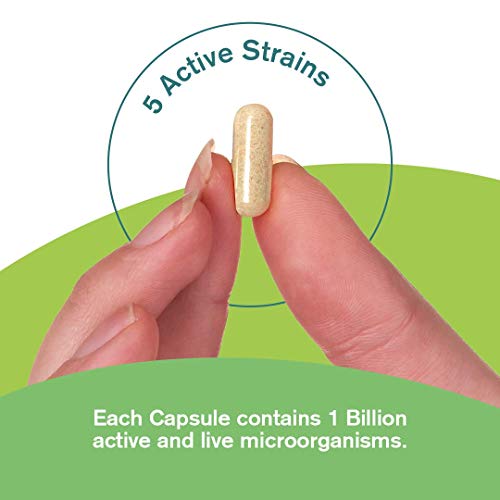 High Strength Vegan Probiotic Complex 180 Capsules