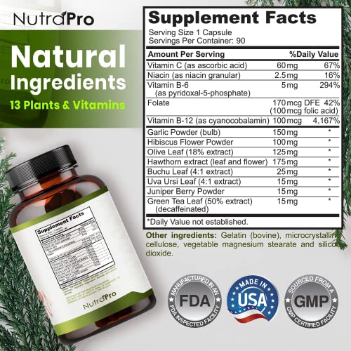 Heart Health Blood Pressure Support with Hawthorn & Hibiscus