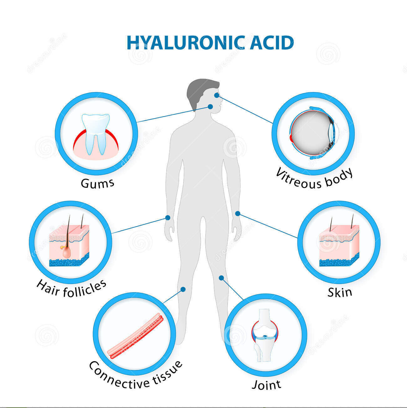 Hyaluronic Acid 100mg for Skin and Joints