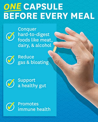 Zenwise Digestive Enzymes with Probiotics and Prebiotics