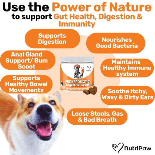 NutriPaw Digestive Treats for Dogs - Gut Health