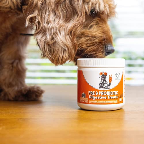 NutriPaw Digestive Treats for Dogs - Gut Health