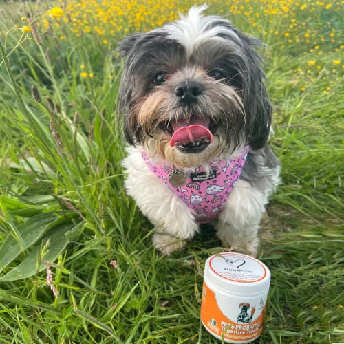 NutriPaw Digestive Treats for Dogs - Gut Health