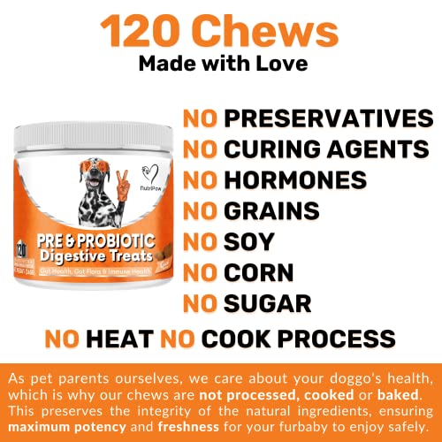NutriPaw Digestive Treats for Dogs - Gut Health