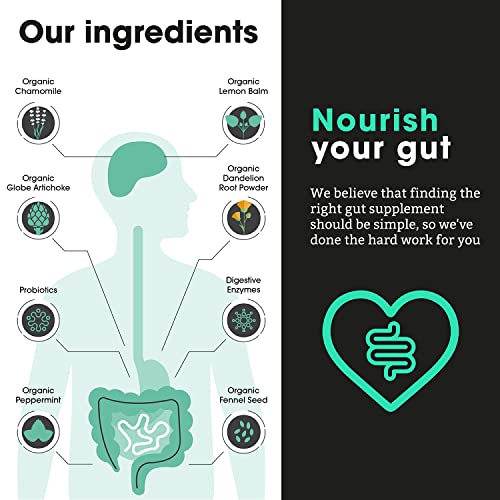 Complete Gut Health - Vegan Digestive 3-in-1 Supplement