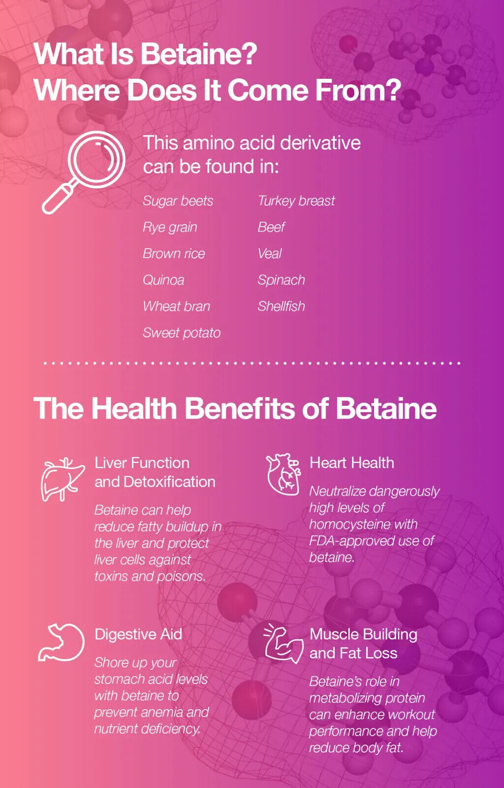 Betaine HCL 600mg Capsules for Digestion Relief