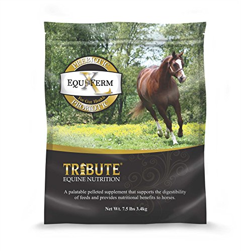 Kalmbach Feeds Equiferm XL Probiotic for Horses