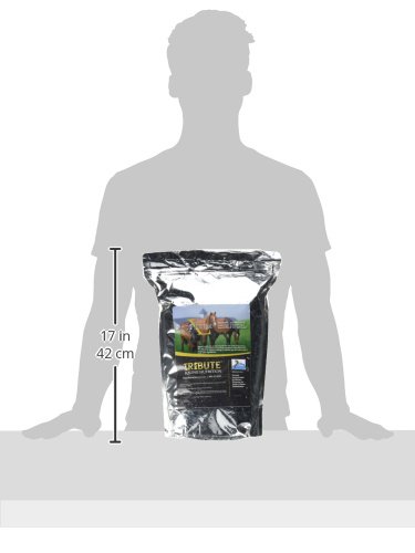 Kalmbach Feeds Equiferm XL Probiotic for Horses