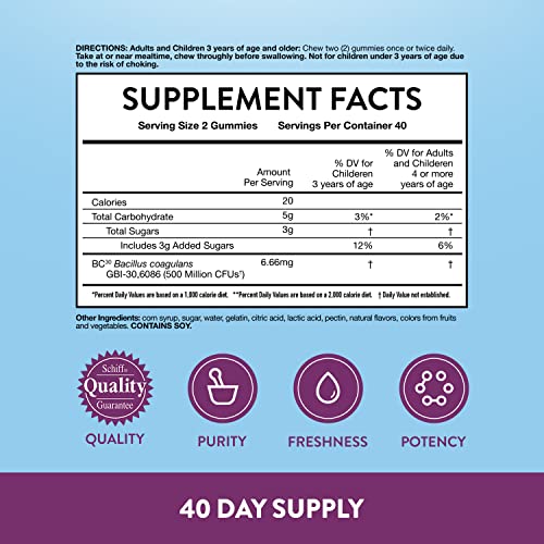 Digestive Advantage Probiotic Gummies for Digestive Health