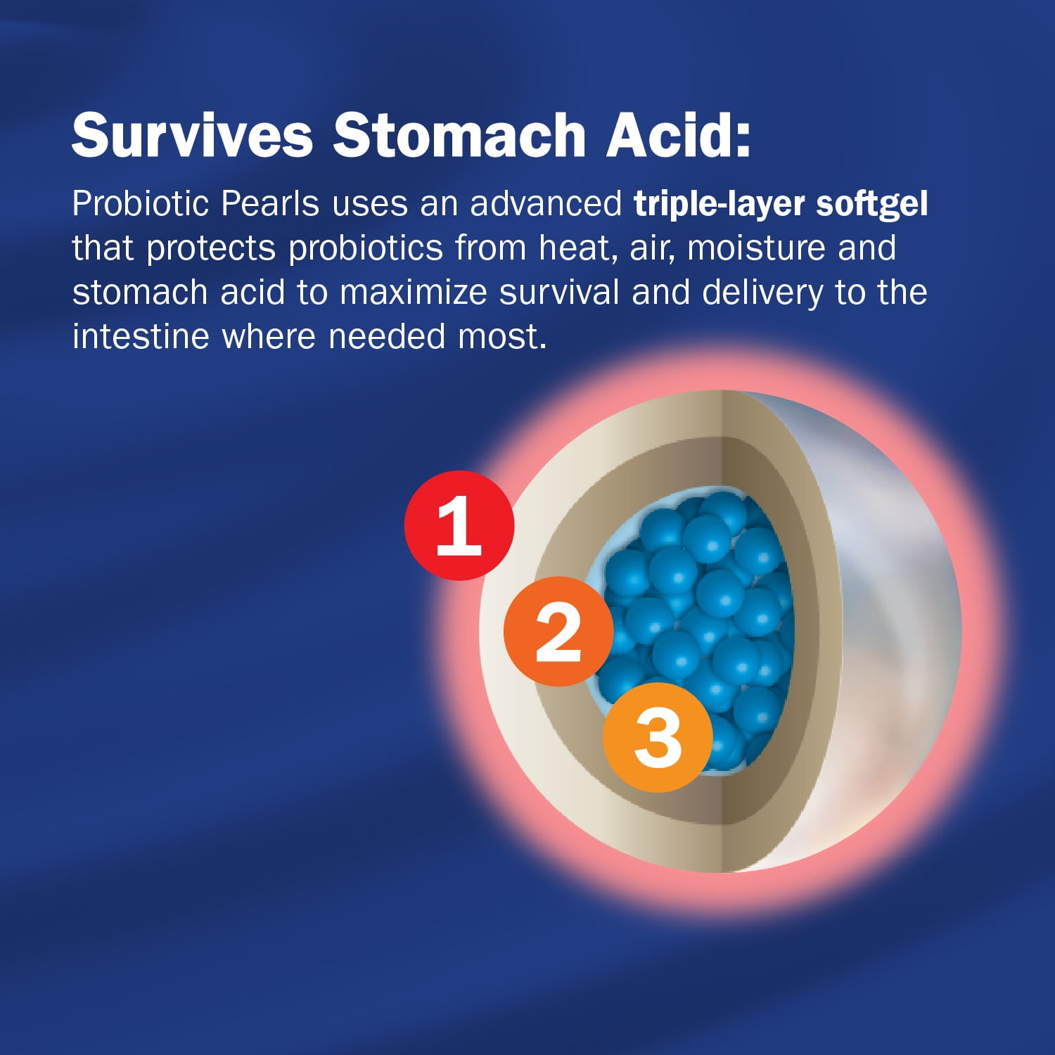 Probiotic Pearls Digestive Health Softgels, 30 Count