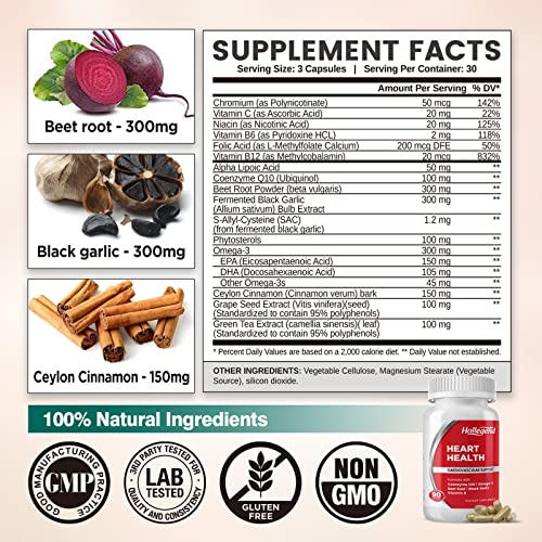 HOLLEGEND Heart Health CoQ10 Supplement, 90 Veggie Capsules