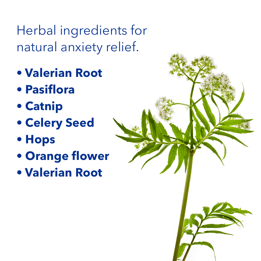 Nerviosil Calming Herbal Supplement with Valerian Root