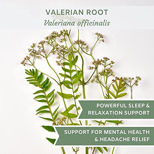 Organic Valerian Root - 4 oz Loose Leaf Tea