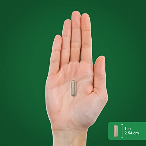Valerian Root 1,200 mg - 120 Non-GMO Capsules