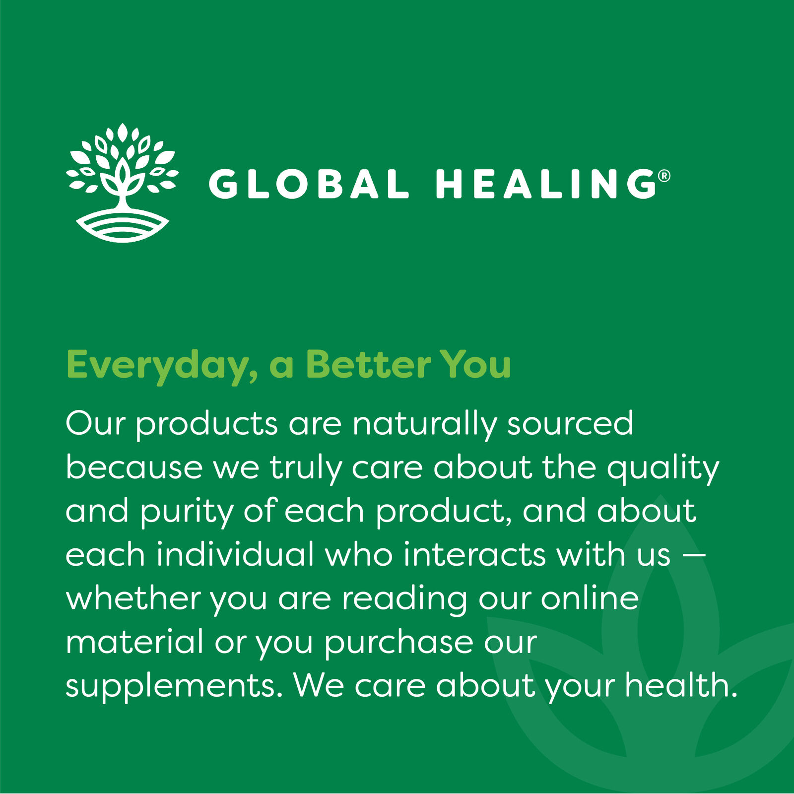 Organic Valerian Root Extract for Sleep Support