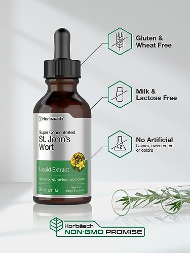 St John's Wort Tincture - Alcohol Free 2 Oz