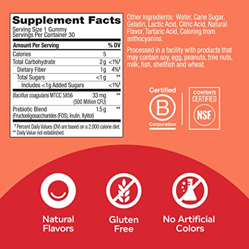 Probiotic Prebiotic Gummies for Gut Health