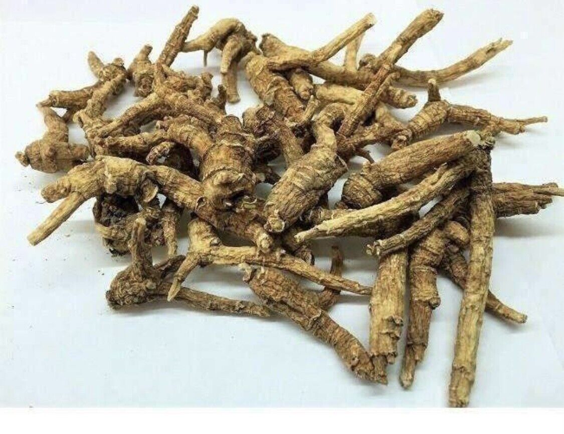 Wisconsin American Ginseng Dry Root - 1.08 lb
