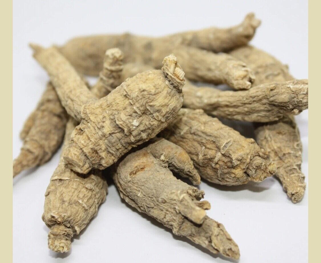 Wisconsin American Ginseng Dry Root - 1.08 lb