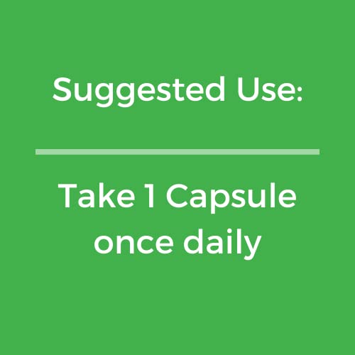 Saw Palmetto Prostate Supplement for Men - Vegan