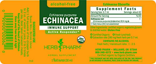 Echinacea Root Herbal Extract - Alcohol Free 1 fl oz