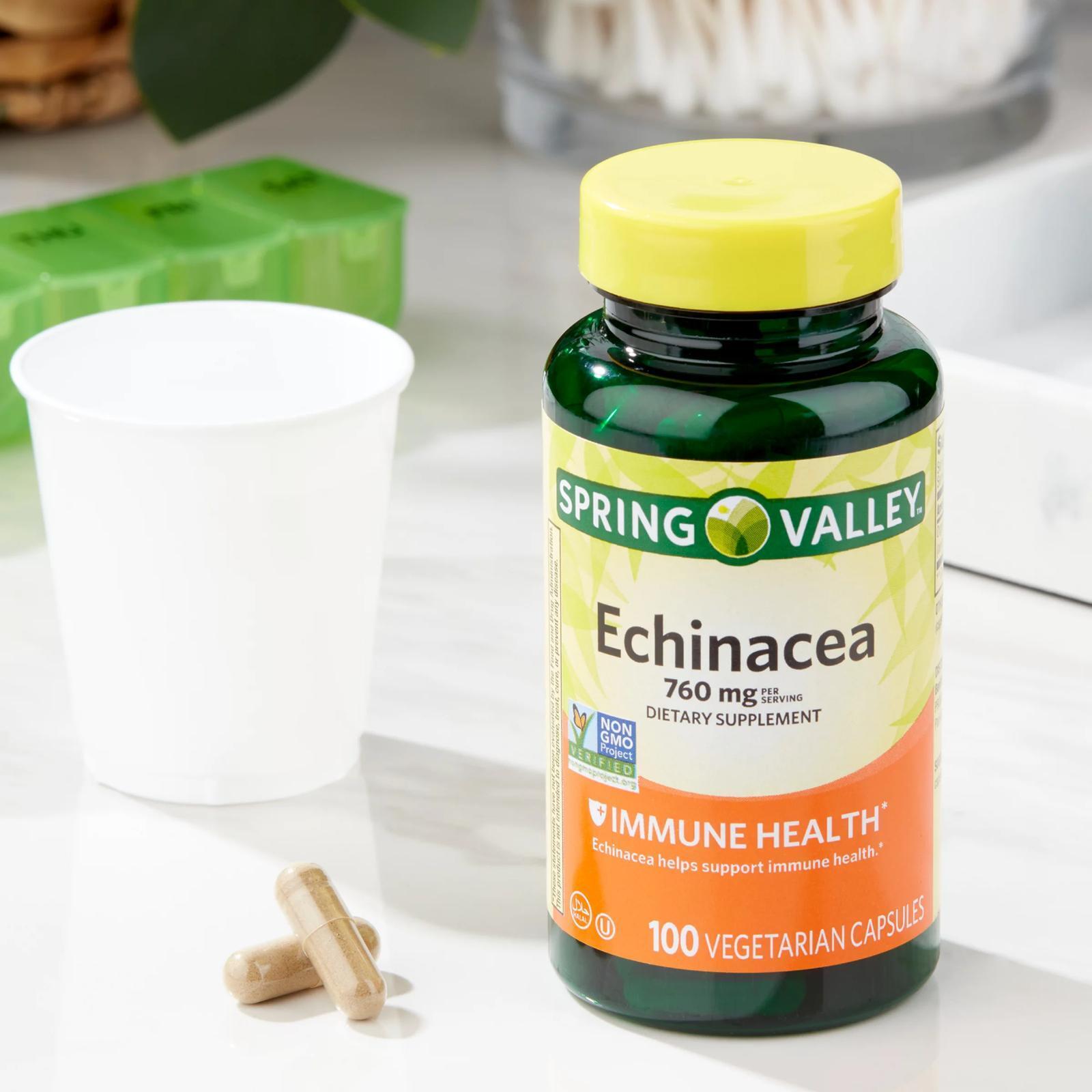 Echinacea 760 mg Immune Support - 100 Capsules
