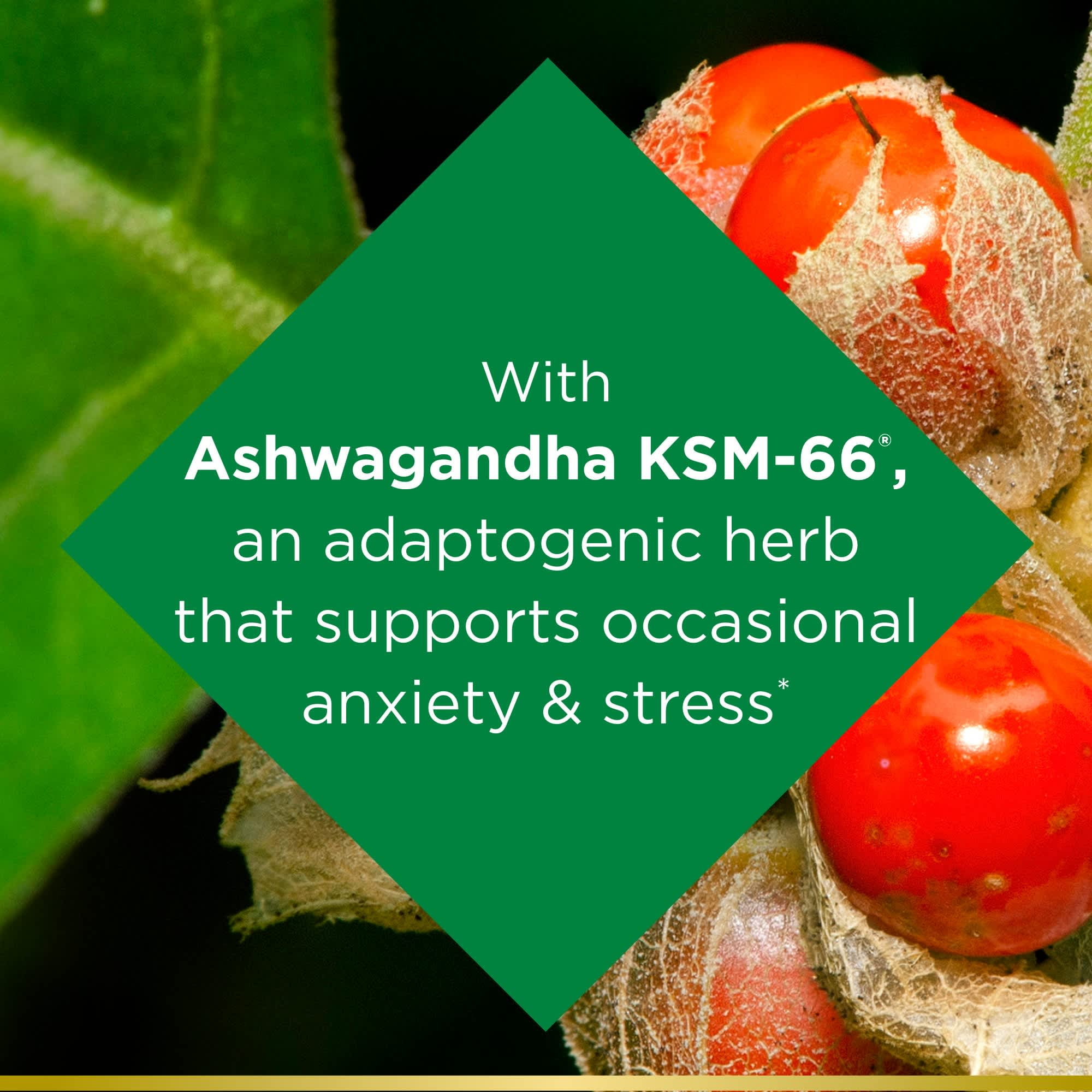 Nature’s Bounty Ashwagandha Anxiety Relief 50 Ct