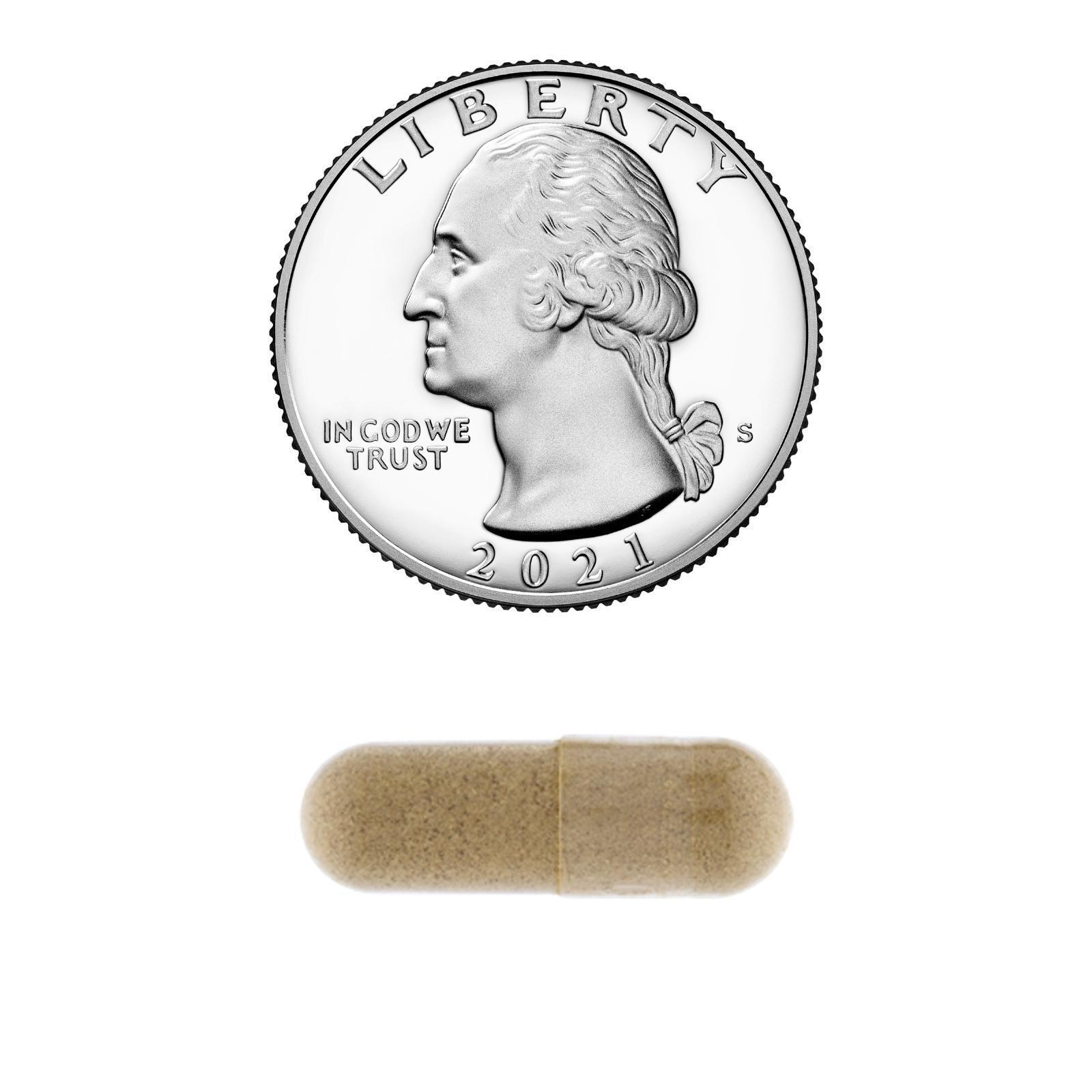 Echinacea 760 mg Immune Support - 100 Capsules