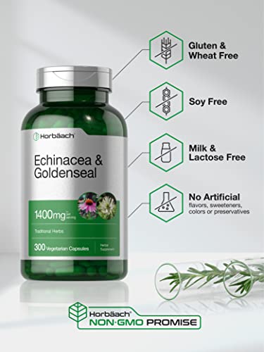 Echinacea Goldenseal Capsules 1400mg 300 Count