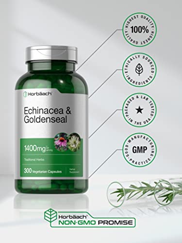 Echinacea Goldenseal Capsules 1400mg 300 Count