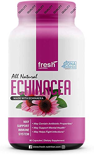 Echinacea Boost - Potent Vegan Support for Winter