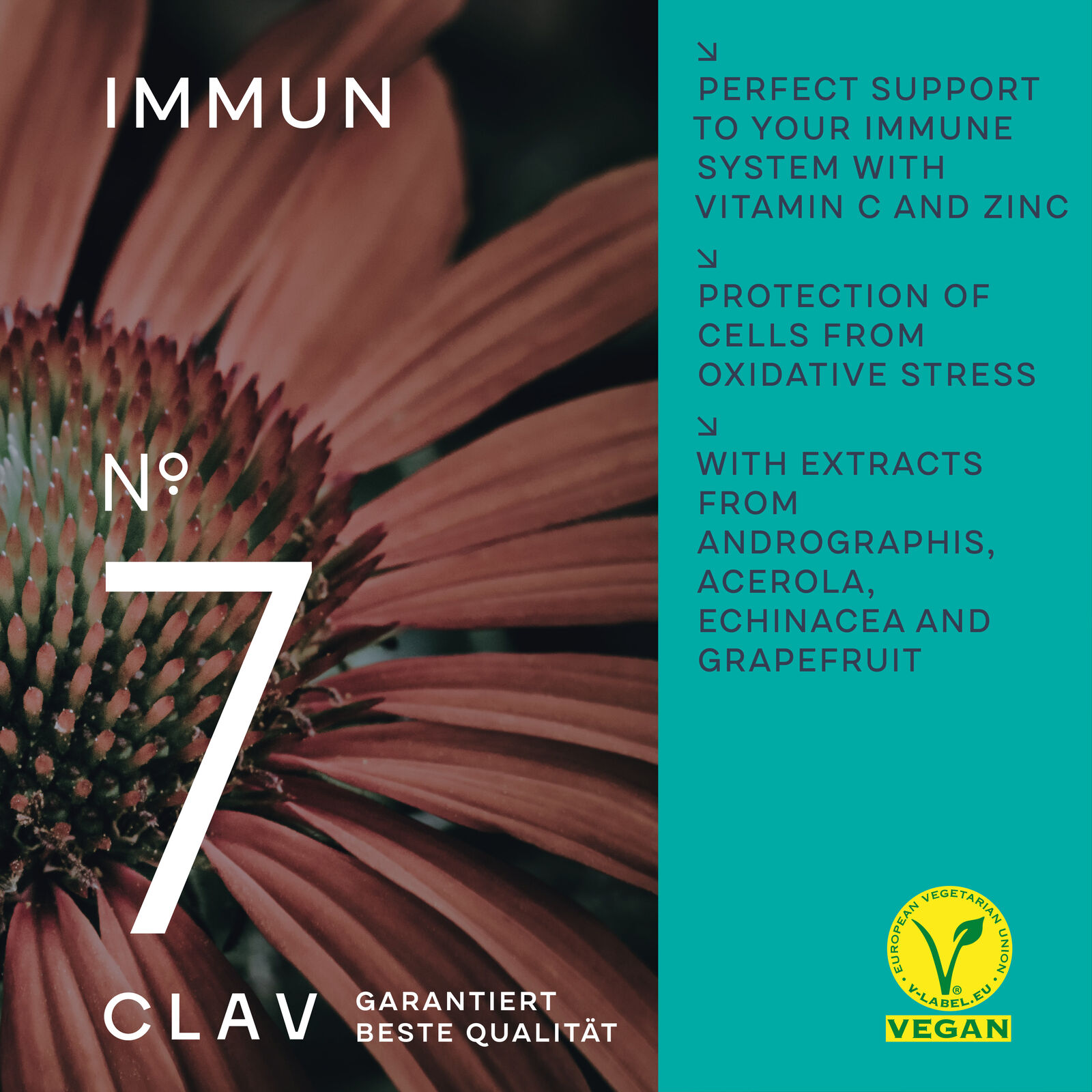 Immune Support: Vitamin C, Zinc, Andrographis Blend