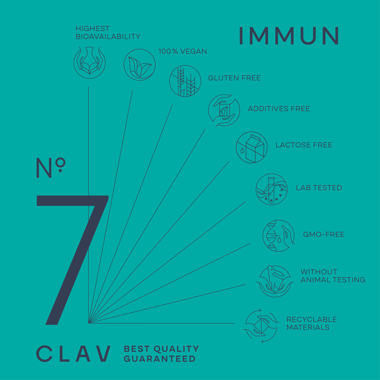 Immune Support: Vitamin C, Zinc, Andrographis Blend