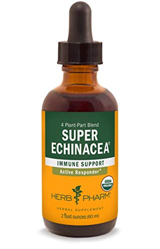 Organic Super Echinacea Liquid Drops for Immunity