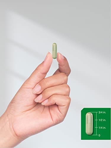Echinacea Capsules 1300mg | 300 Vegetarian Capsules
