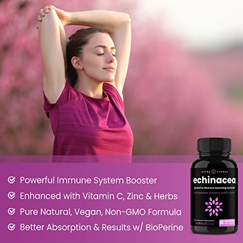 Echinacea Goldenseal Capsules with Elderberry & Zinc